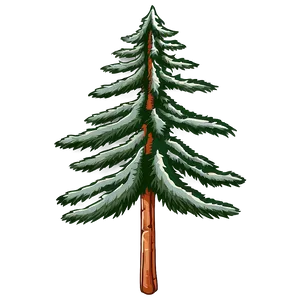 Pine Trees And Stars Png Kuh41 PNG image