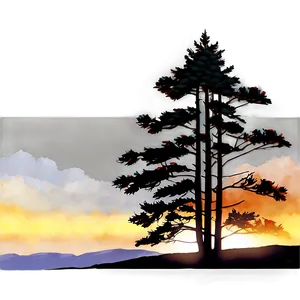 Pine Trees And Sunrise PNG Oeb26 PNG