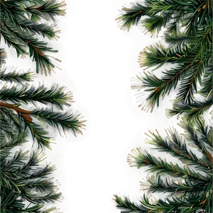 Pine Trees Border PNG Uon PNG