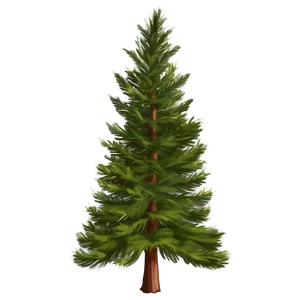 Pine Trees Forest PNG 05252024 PNG