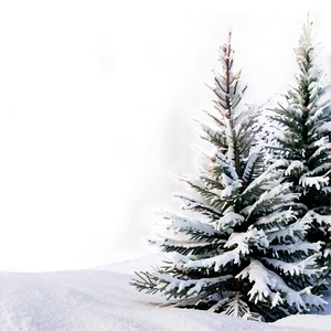 Pine Trees In Snow PNG 05252024 PNG