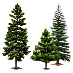 Pine Trees In Spring Png 61 PNG image