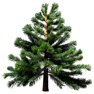 Pine Trees In Spring PNG Rec37
