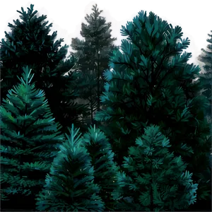 Pine Trees In The Mist PNG 05252024