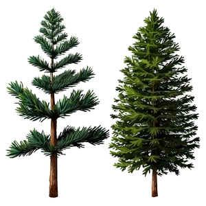 Pine Trees In The Mist PNG Mef13 PNG