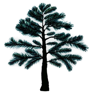 Pine Trees Night PNG 05252024 PNG