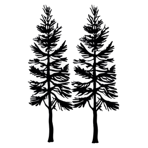 Pine Trees Silhouette PNG 05252024 PNG