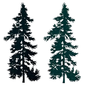Pine Trees Silhouette Vector PNG 05252024 PNG