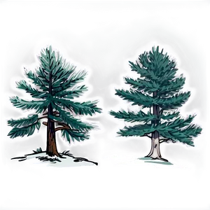 Pine Trees Sketch PNG 05252024