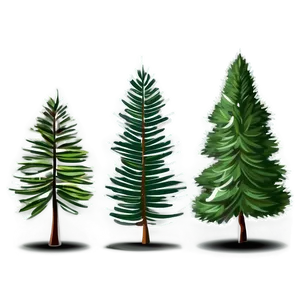 Pine Trees Vector PNG 05252024 PNG