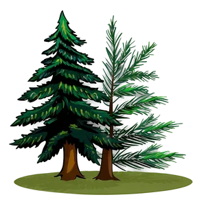 Pine Trees Vector Png Whe PNG image