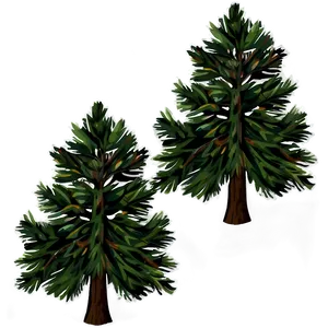 Pine Trees Wallpaper PNG Whn PNG