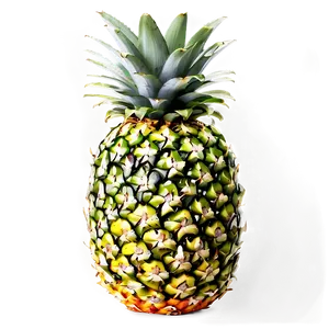 Pineapple Healthy PNG 05032024