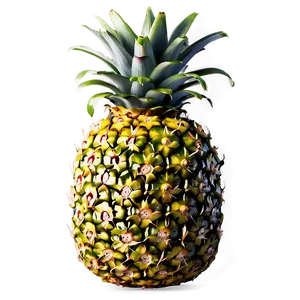 Pineapple Healthy Png 05032024 PNG image