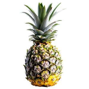 Pineapple Nutrition Png 05032024 PNG image