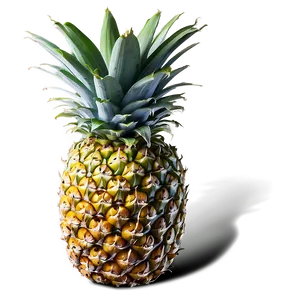 Pineapple Nutrition Png 51 PNG image