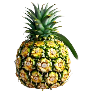 Pineapple Piece PNG 49