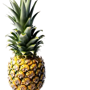 Pineapple Piece Png Wnx91 PNG image