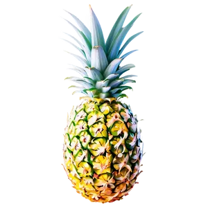 Pineapple Summer Png Koy PNG image
