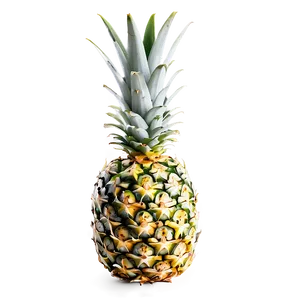Pineapple Top View Png Bou PNG image