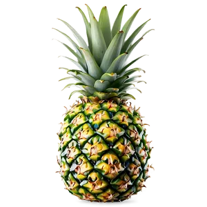 Pineapple Top View Png Njb96 PNG image