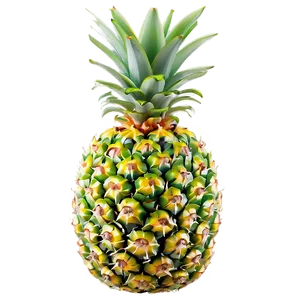 Pineapple Tropical Fruit PNG Gij3