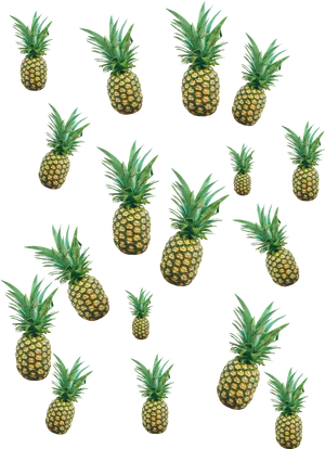 Pineappleson Black Background PNG image
