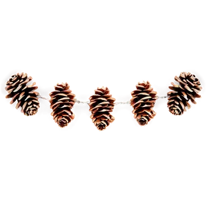Pinecone Banner Graphic PNG Eim PNG