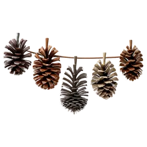 Pinecone Collection Set Png 06132024 PNG image