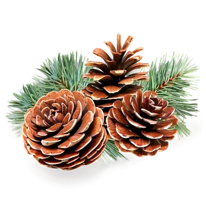 Pinecone Festive Arrangement PNG Oek PNG