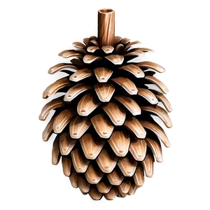 Pinecone For Diy Crafts PNG Hdr74 PNG