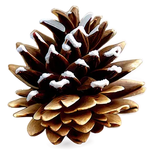 Pinecone In Festive Setting PNG 06132024