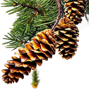 Pinecone In Nature Setting PNG Ghd