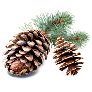 Pinecone In Rustic Decor PNG 98 PNG
