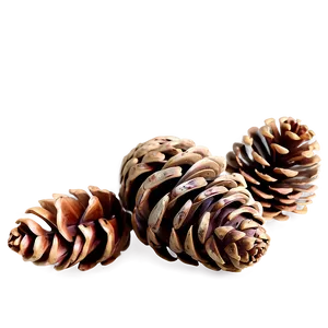 Pinecone In Rustic Decor PNG Bij88 PNG