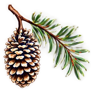 Pinecone In Rustic Decor PNG Ice PNG