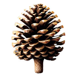 Pinecone Pattern Background PNG 48 PNG