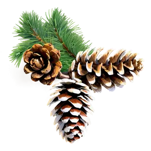 Pinecone With Branch Png Gjj PNG image