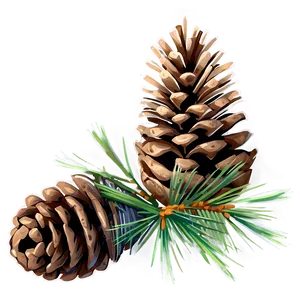 Pinecone With Pine Needles PNG Awe96 PNG