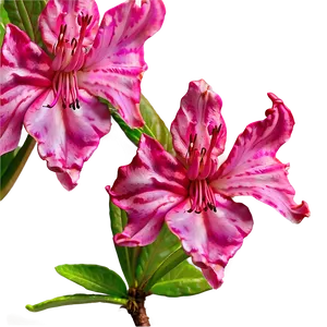 Pink Azalea Charm PNG 05242024