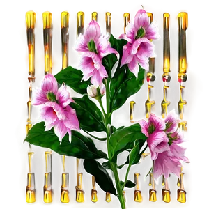 Pink Bellflower Grace PNG 05242024 PNG