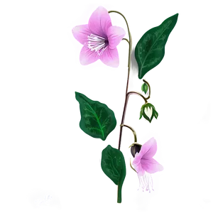 Pink Bellflower Grace PNG Bww PNG