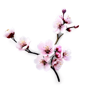 Pink Blossom Branch PNG 24 PNG