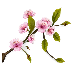 Pink Blossom Branch PNG 93 PNG
