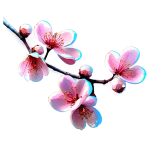 Pink Blossom Branch PNG Max81 PNG