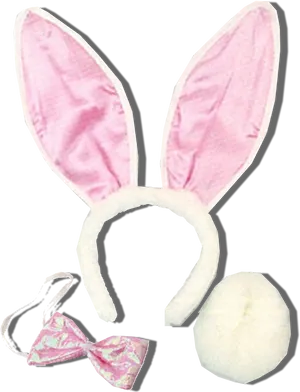 Pink Bunny Ears Costume Set PNG image