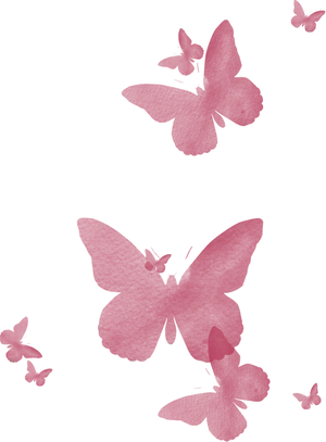 Pink_ Butterflies_on_ Black_ Background PNG image