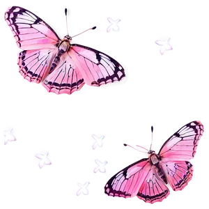 Pink Butterfly Authentic Capture PNG Ibd58 PNG