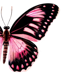 Pink Butterfly Authentic Capture PNG Sfi17 PNG