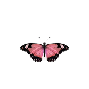 Pink Butterfly Authentic Look PNG Joe48 PNG